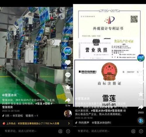 雪莲冰爆料视频,独家内幕大公开  第2张