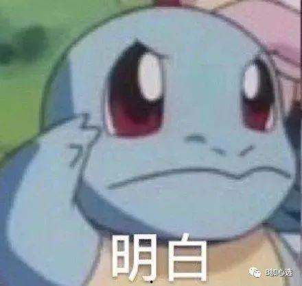 杰尼龟爆料视频,揭秘背后故事与幕后真相 第1张 杰尼龟爆料视频,揭秘背后故事与幕后真相 第1张